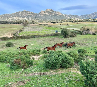 CENTRE EQUESTRE DE BALAGNE