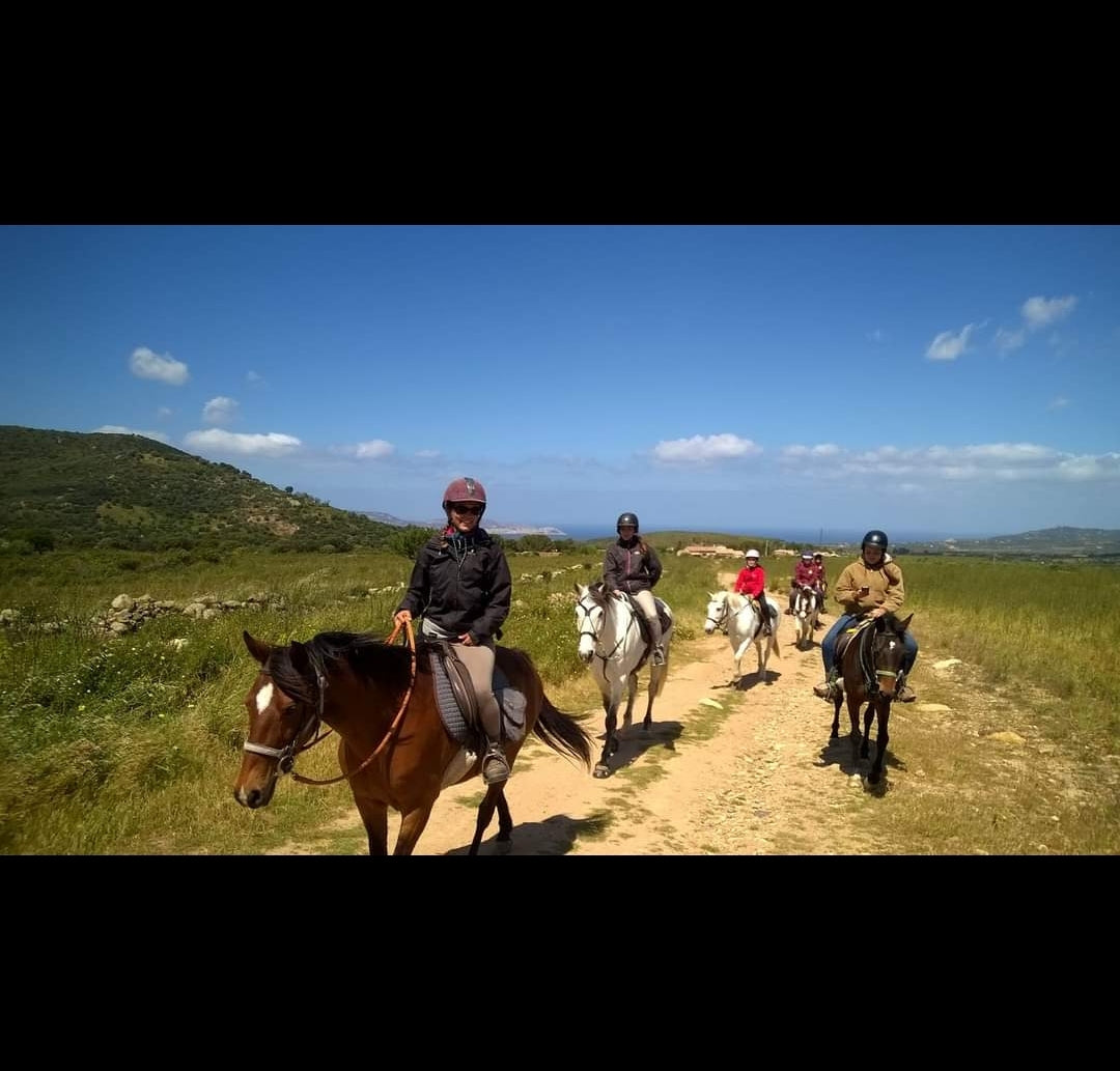 CENTRE EQUESTRE DE BALAGNE