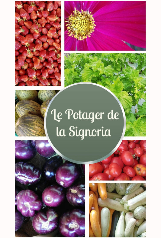 LE POTAGER DE LA SIGNORIA