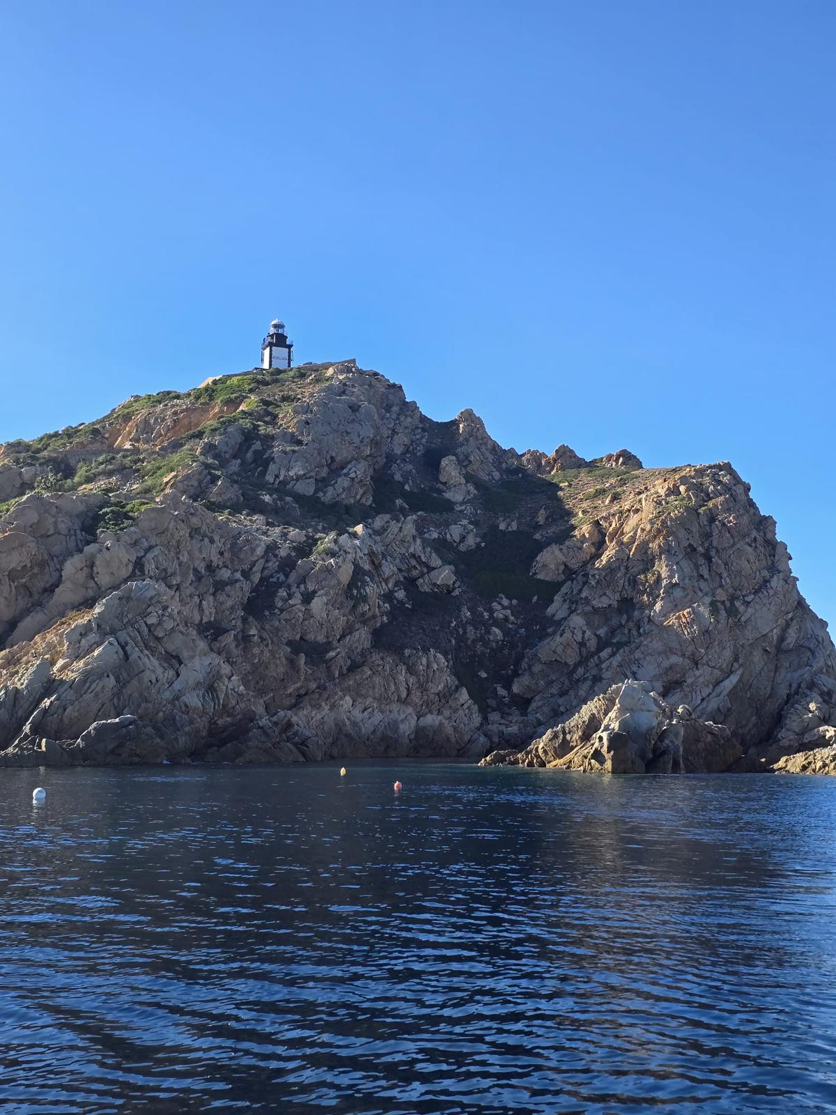 HIPPOCAMPE PLONGÉE CALVI