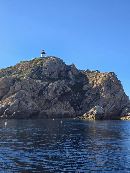 HIPPOCAMPE PLONGÉE CALVI