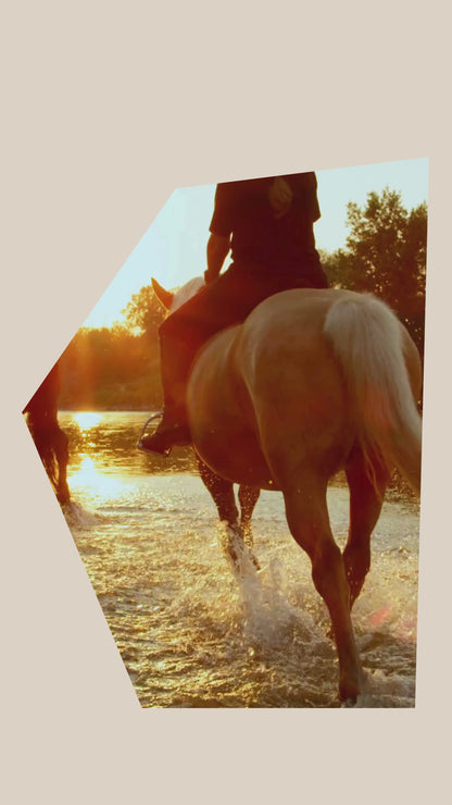 CENTRE EQUESTRE DE BALAGNE